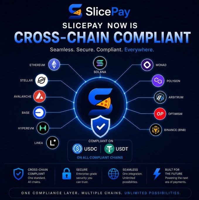 Multi-chain crypto payments diagram showing SlicePay blockchain payment processor supporting QR code crypto payments and USDC payments for business